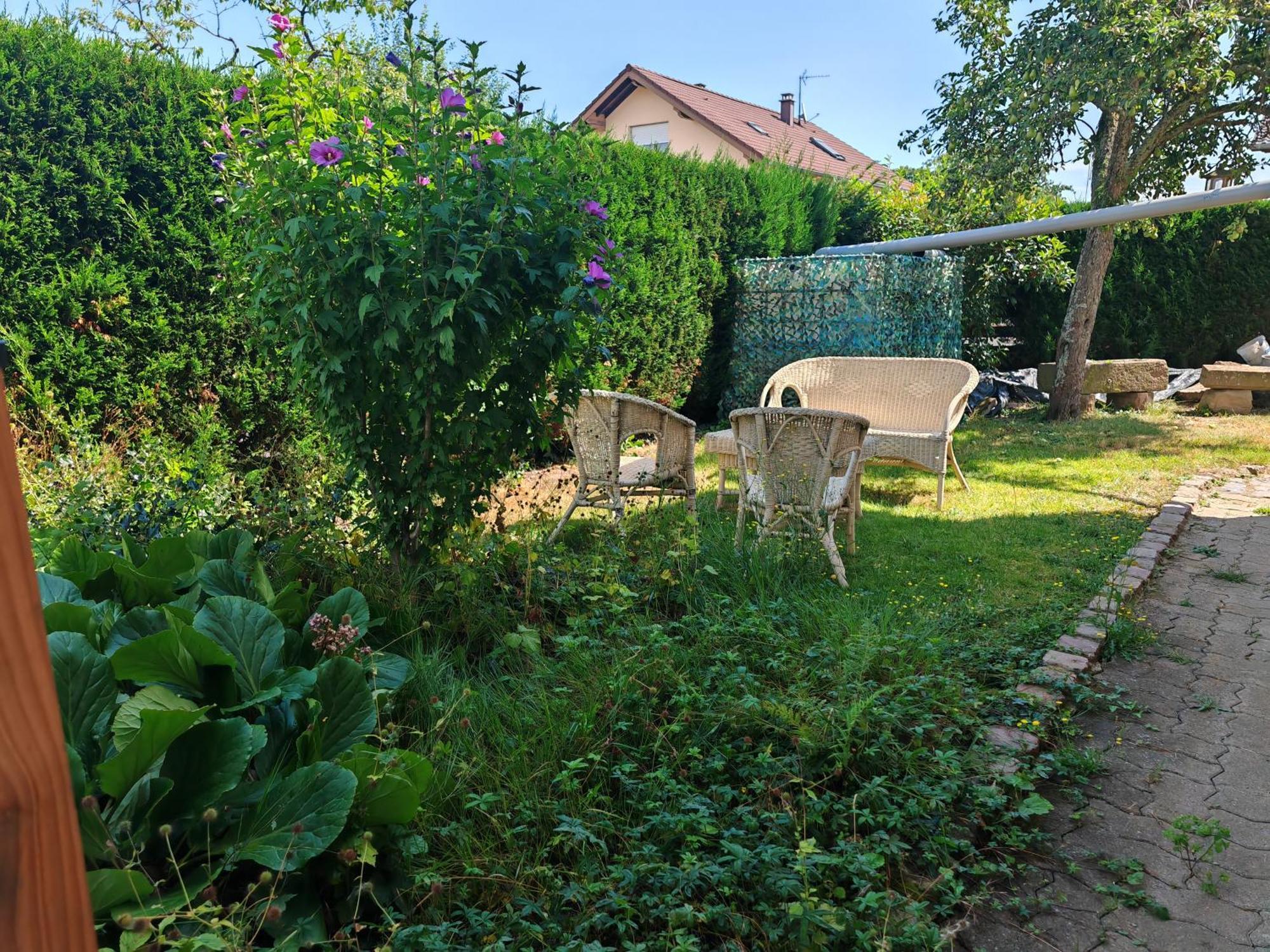 Appartement " Le Chardonneret " Issenheim Bagian luar foto